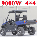 China hisun économique diesel diesel 800 utv 4x4 différentiel à vendre (MC-182)